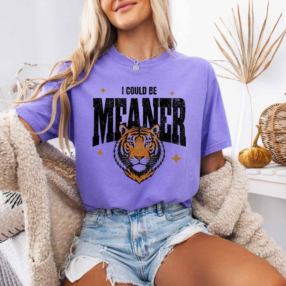 May include a retro Y2K tiger design with the phrase “I Could Be Meaner,” created as a 9.5-inch DTF transfer for customizing T-shirts, sweatshirts, tote bags, and other apparel.